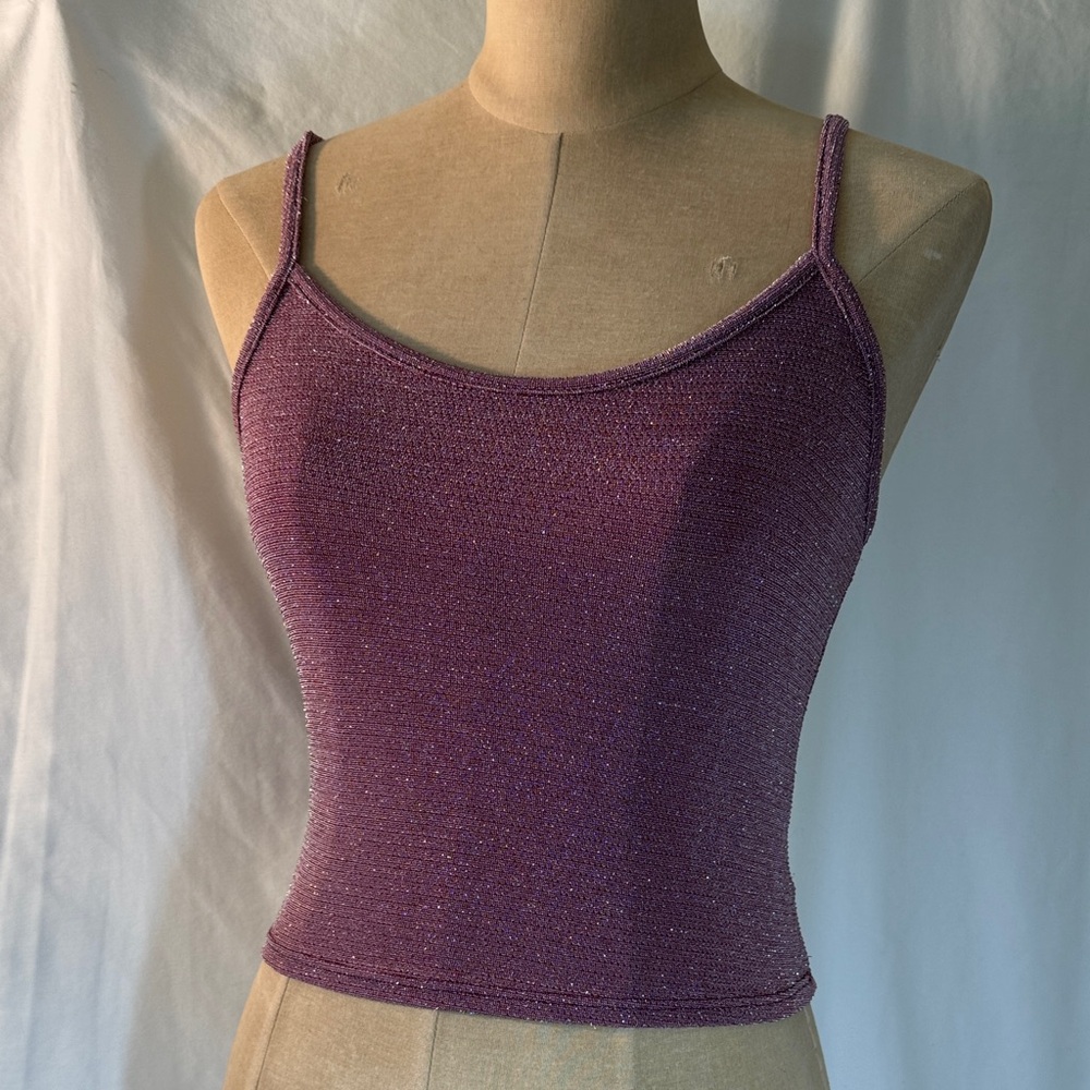 Urban Outfitters Shimmering Stretchy Purple Crop Top. Small.